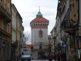 DSC 0439.JPG