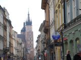 DSC 0449.JPG