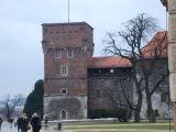 DSC 0521.JPG