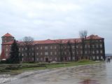 DSC 0522.JPG