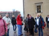 DSC 0523.JPG