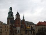 DSC 0575.JPG
