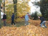 IMG 0056.JPG