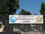 Plener rzeźbiarski