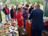 IMG 20260616 103517 956 wynik