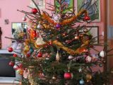 IMG 4635 resize.JPG
