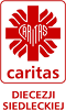 tl_files/gallery/swietlica_parczew/aktualnosci/20170410_wspieranie_dzialalnosci/caritas-ds.png